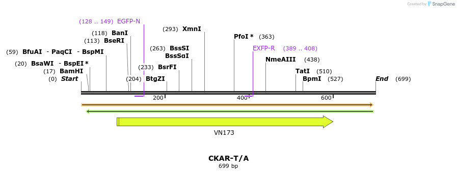 21428_map