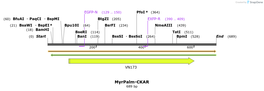 21429_map