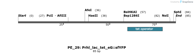 214342_map