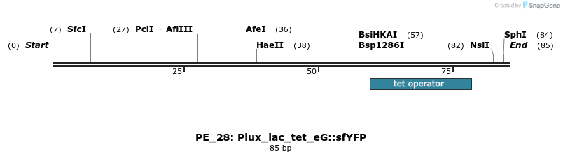 214346_map