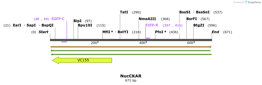 21436_map