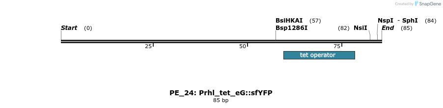 214361_map