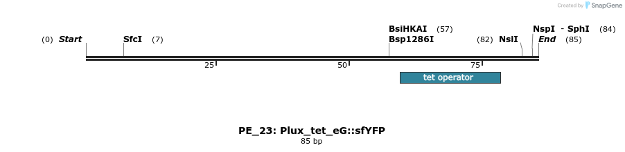 214365_map