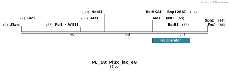 214383_map