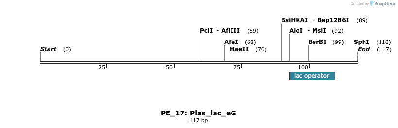 214386_map