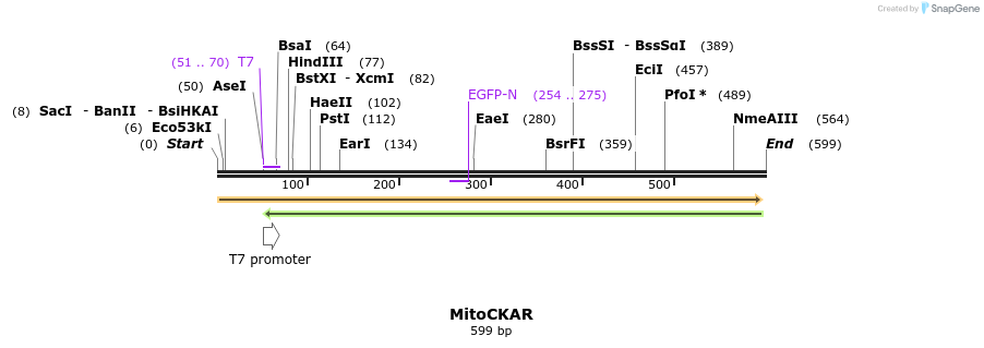 21439_map