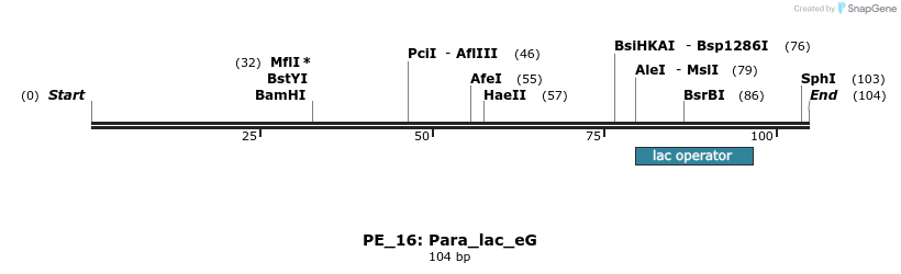 214390_map