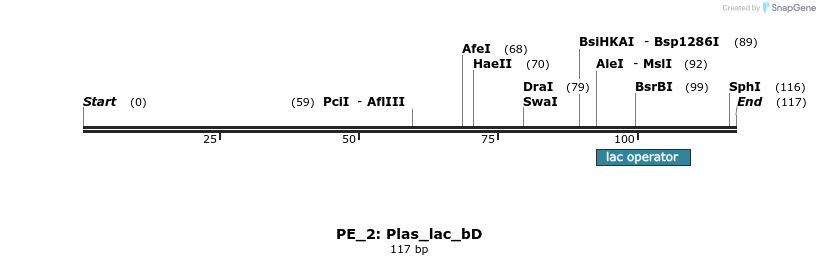 214398_map