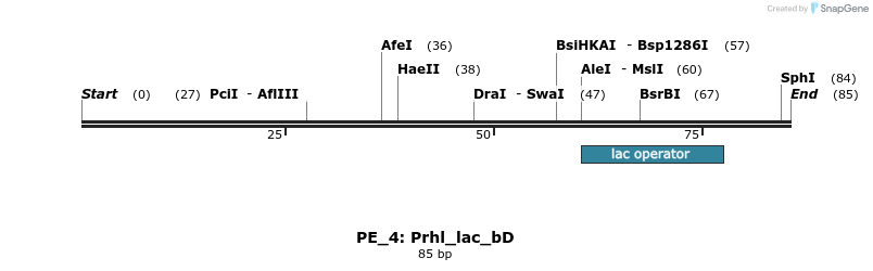 214406_map