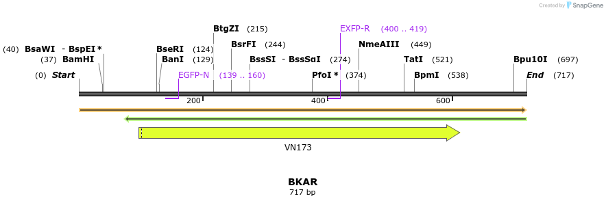 21442_map