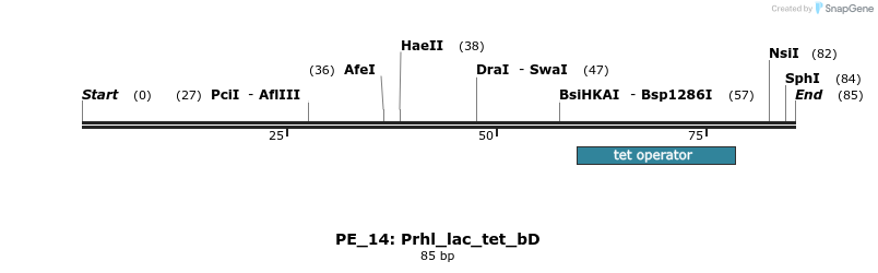 214446_map