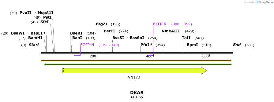 21446_map