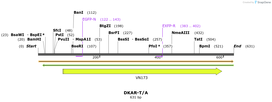 21447_map