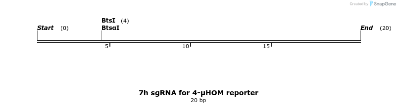 214475_map