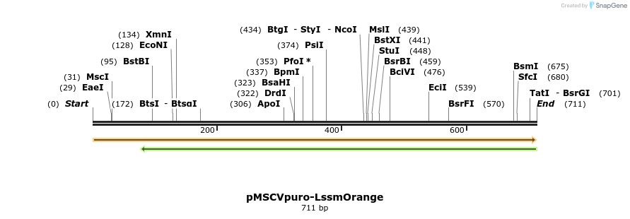 214479_map