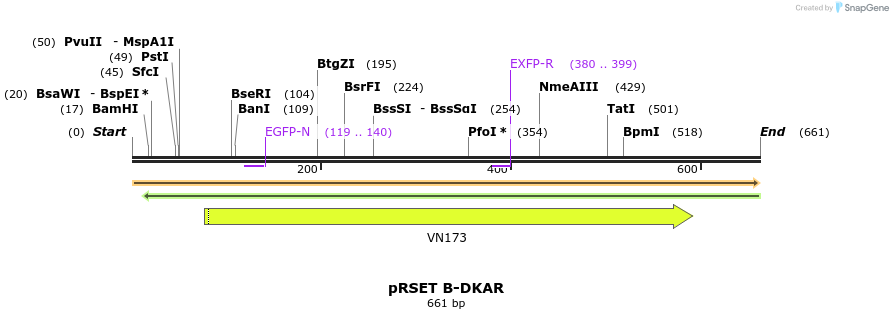 21448_map