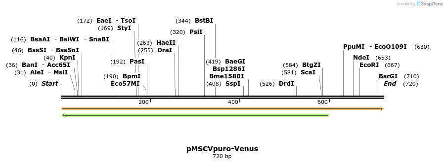 214482_map