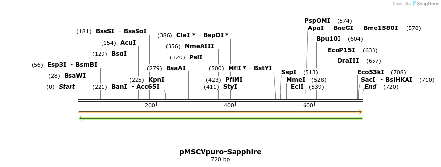 214483_map