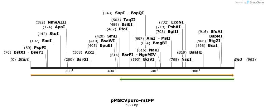 214484_map