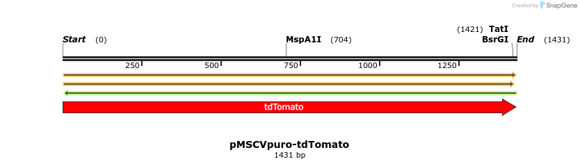214485_map