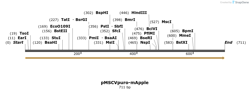 214486_map