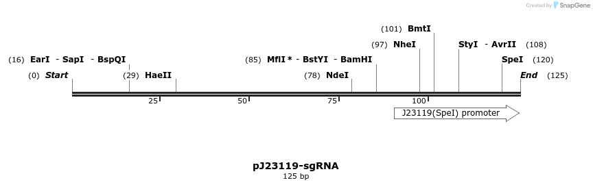 214551_map