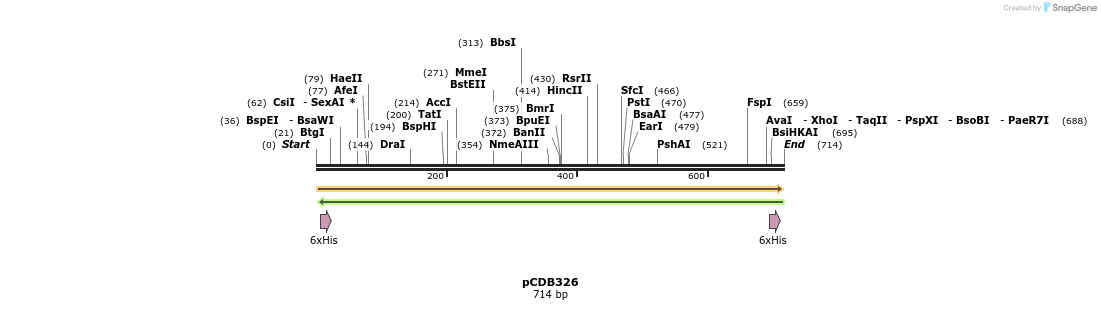 214596_map