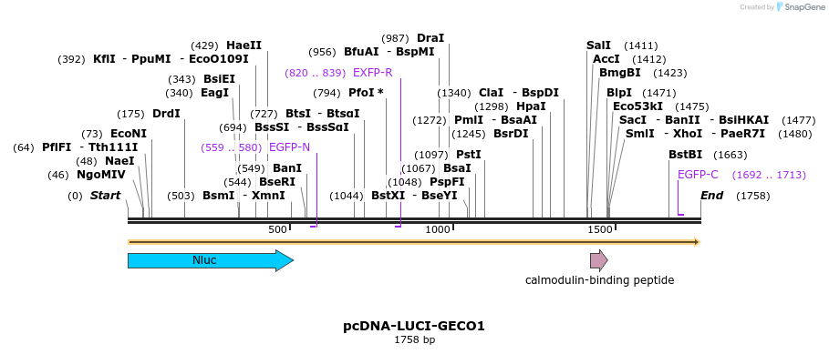 214607_map