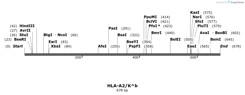 21463_map