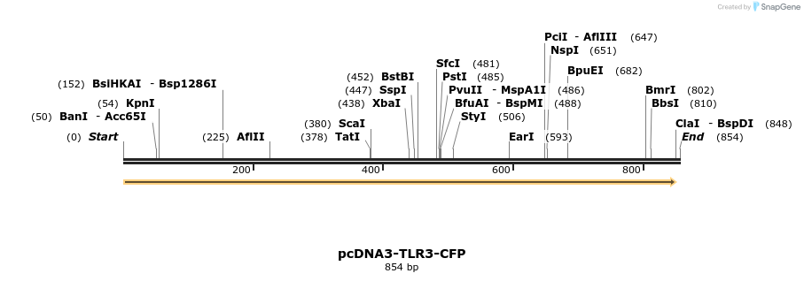 21467_map