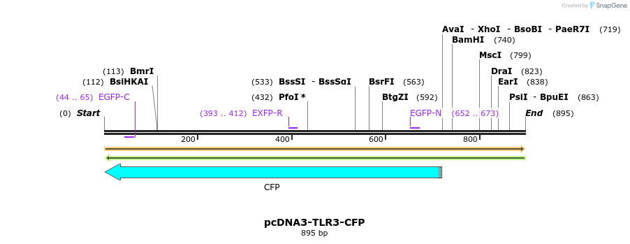 21468_map