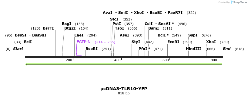 21473_map