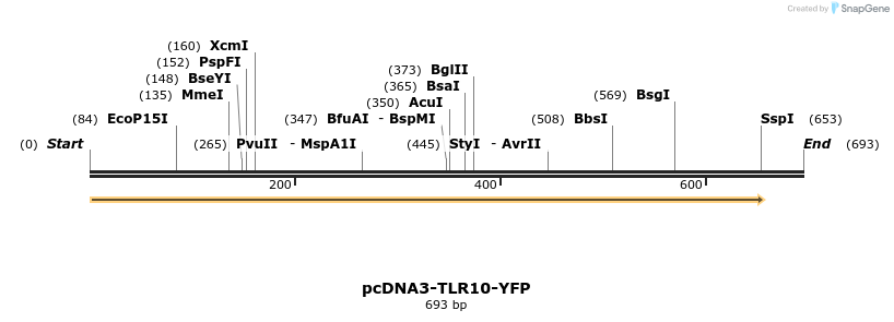 21474_map