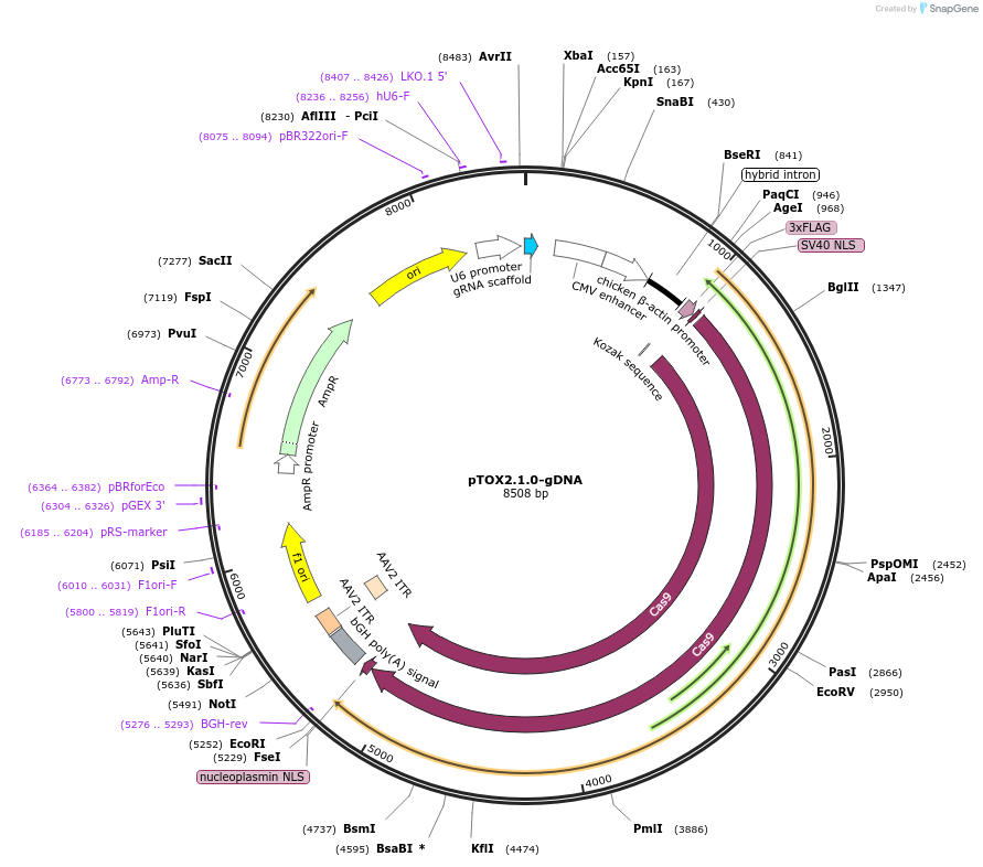 214748_map