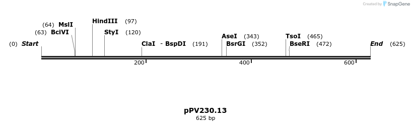 21486_map