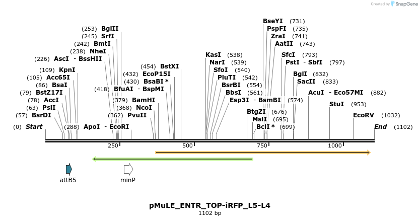 214873_map