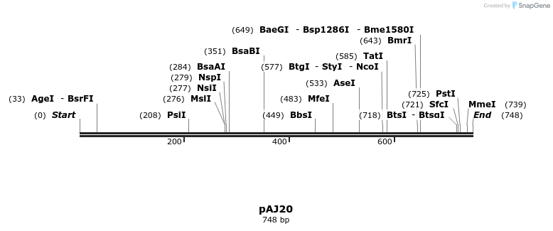 21488_map