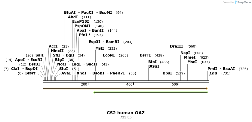 21489_map