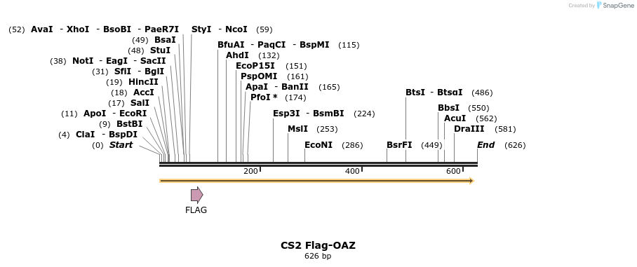 21490_map
