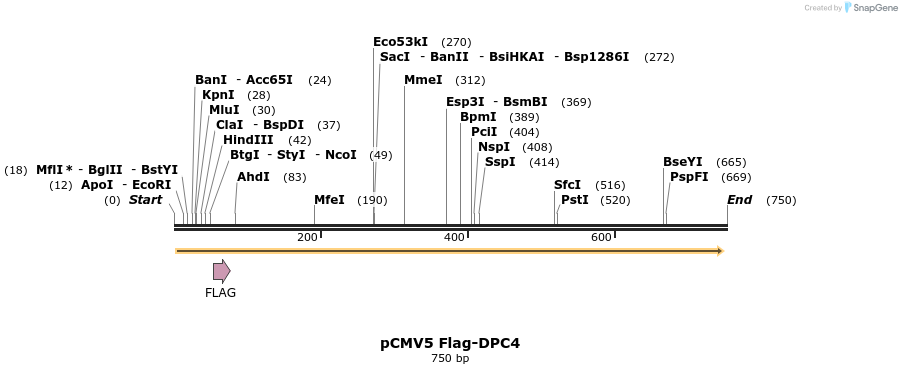 21492_map