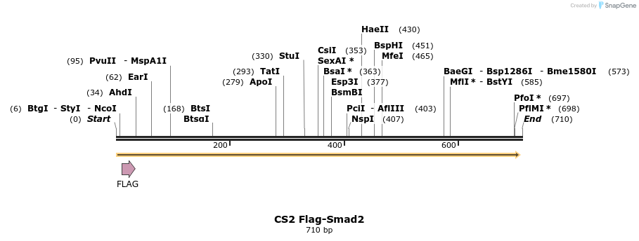 21494_map