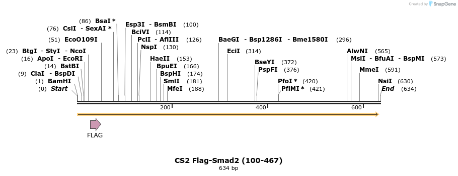 21495_map