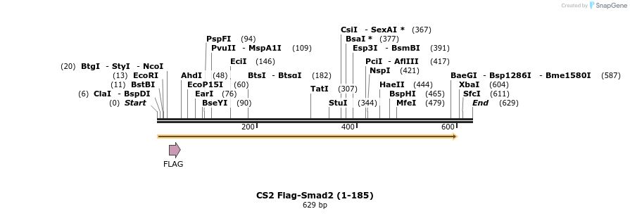 21496_map