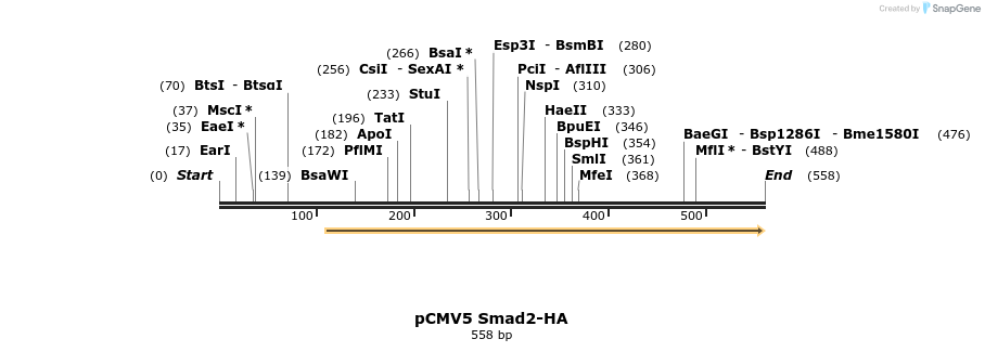 21497_map