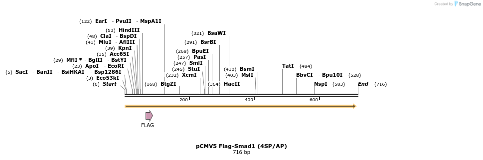 21498_map