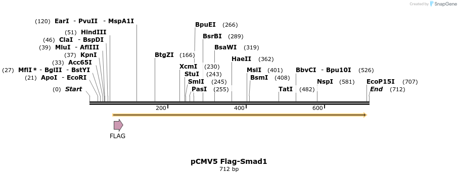 21499_map
