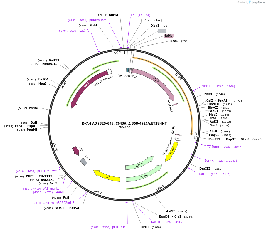 215005_map