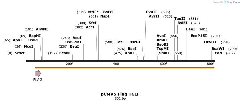 21501_map