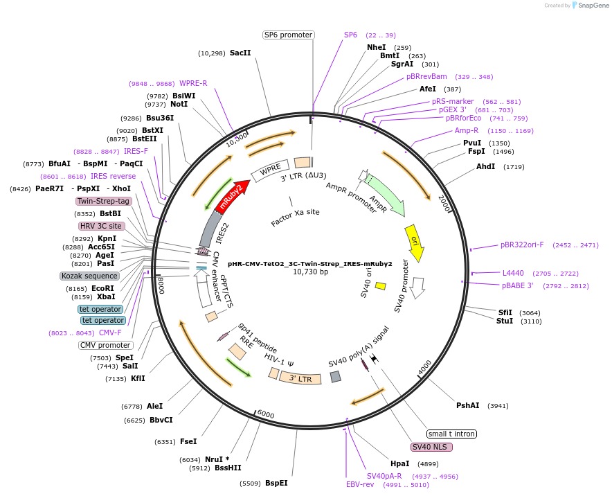 215013_map