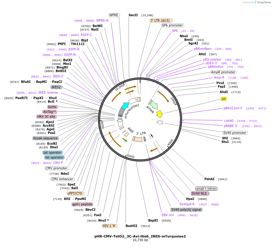 215018_map